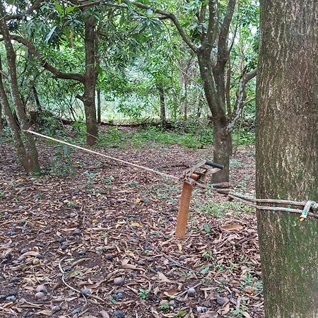 סאו פאולו Sitio Encontro Das Aguas Brotas מראה חיצוני תמונה